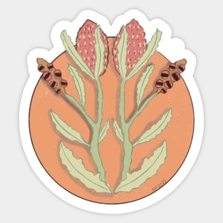 Banksia Sticker